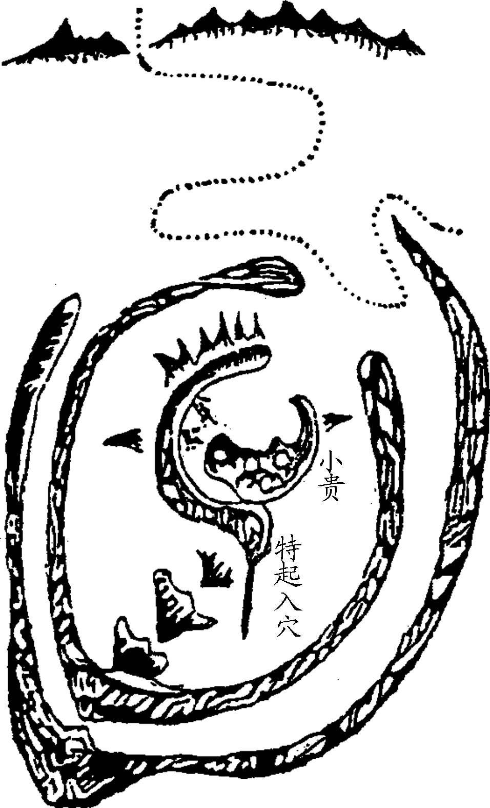 6.png