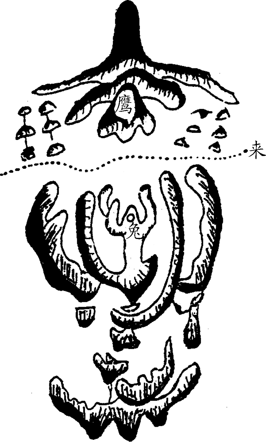 6.png