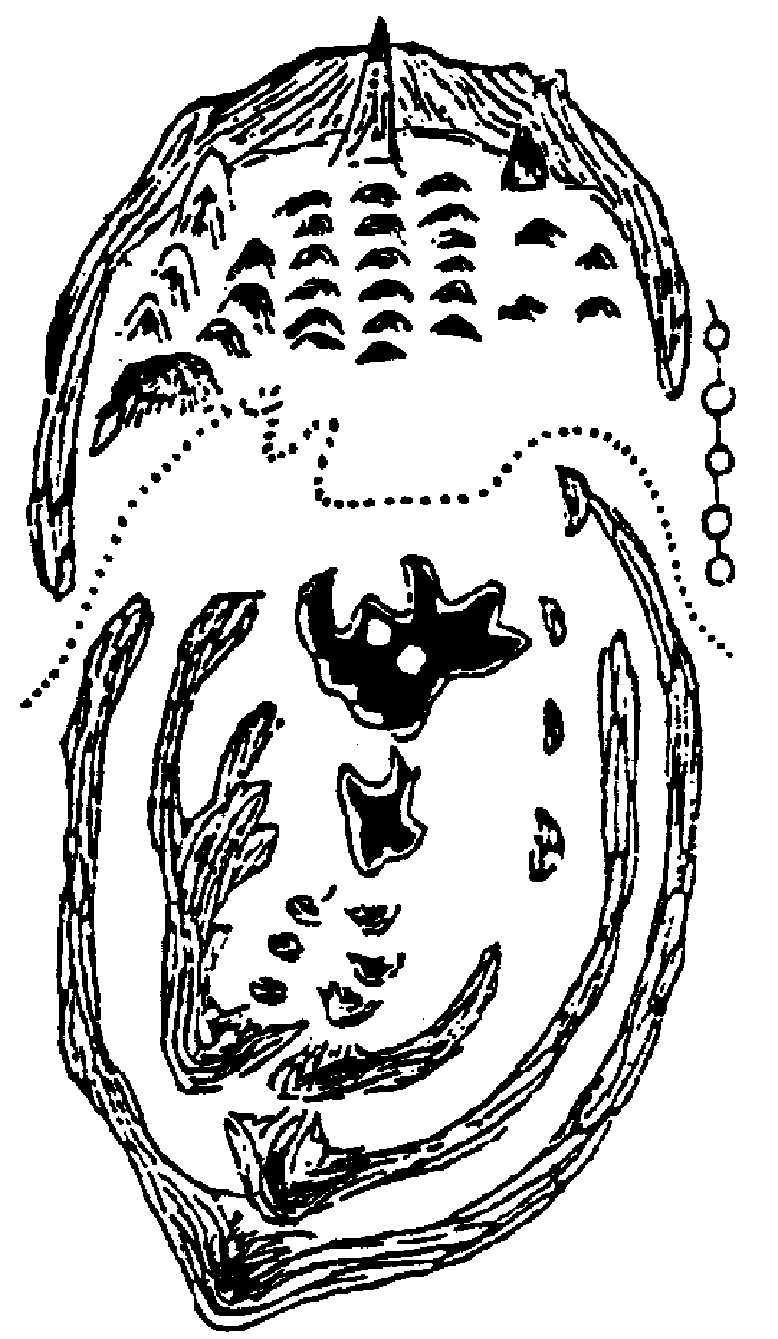 7.png