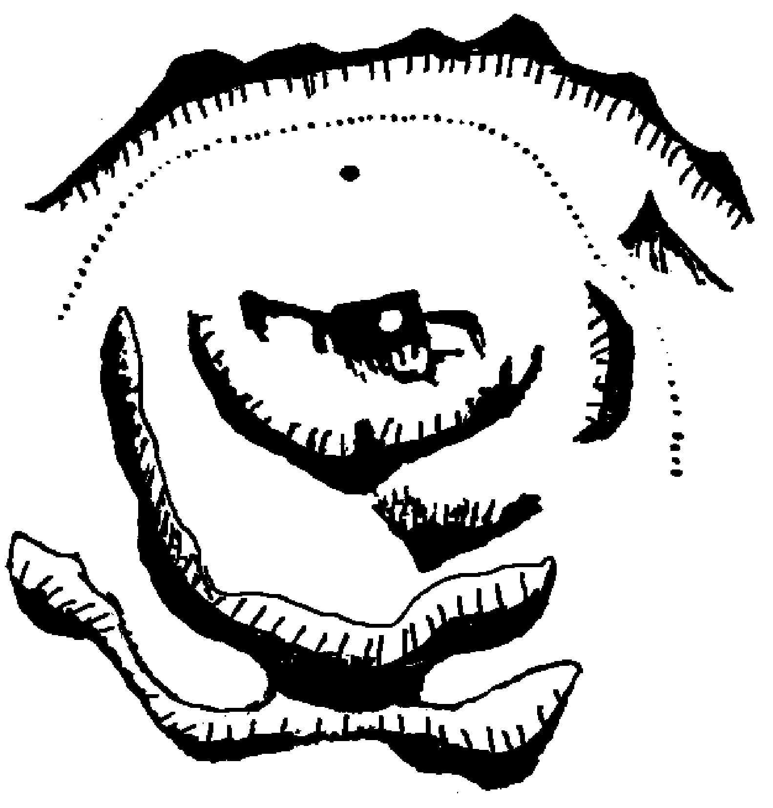 6.png