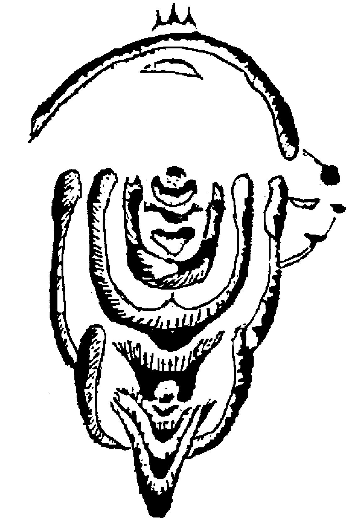 6.png